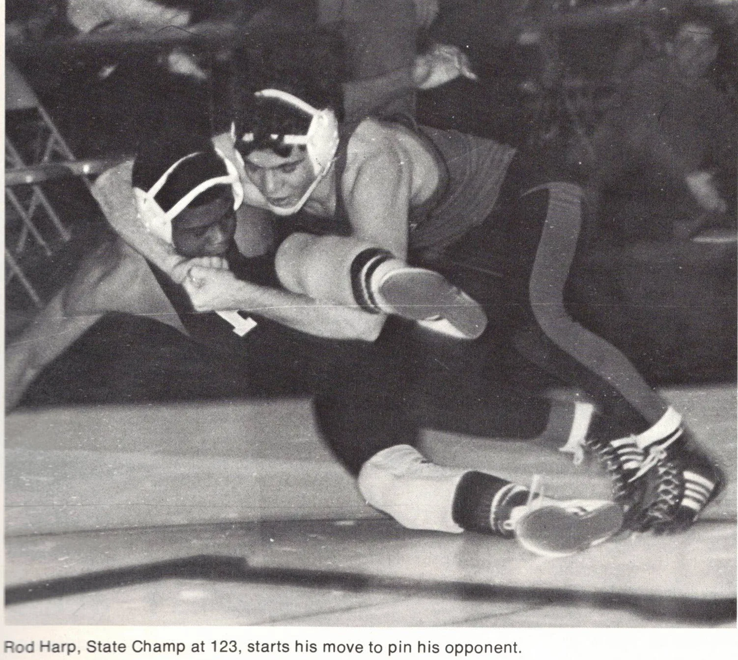 Rod Harp