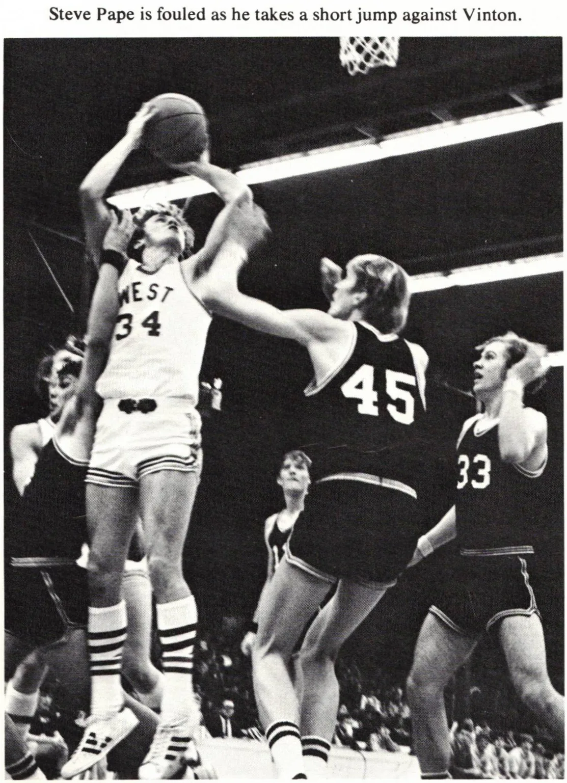 Steve Pape