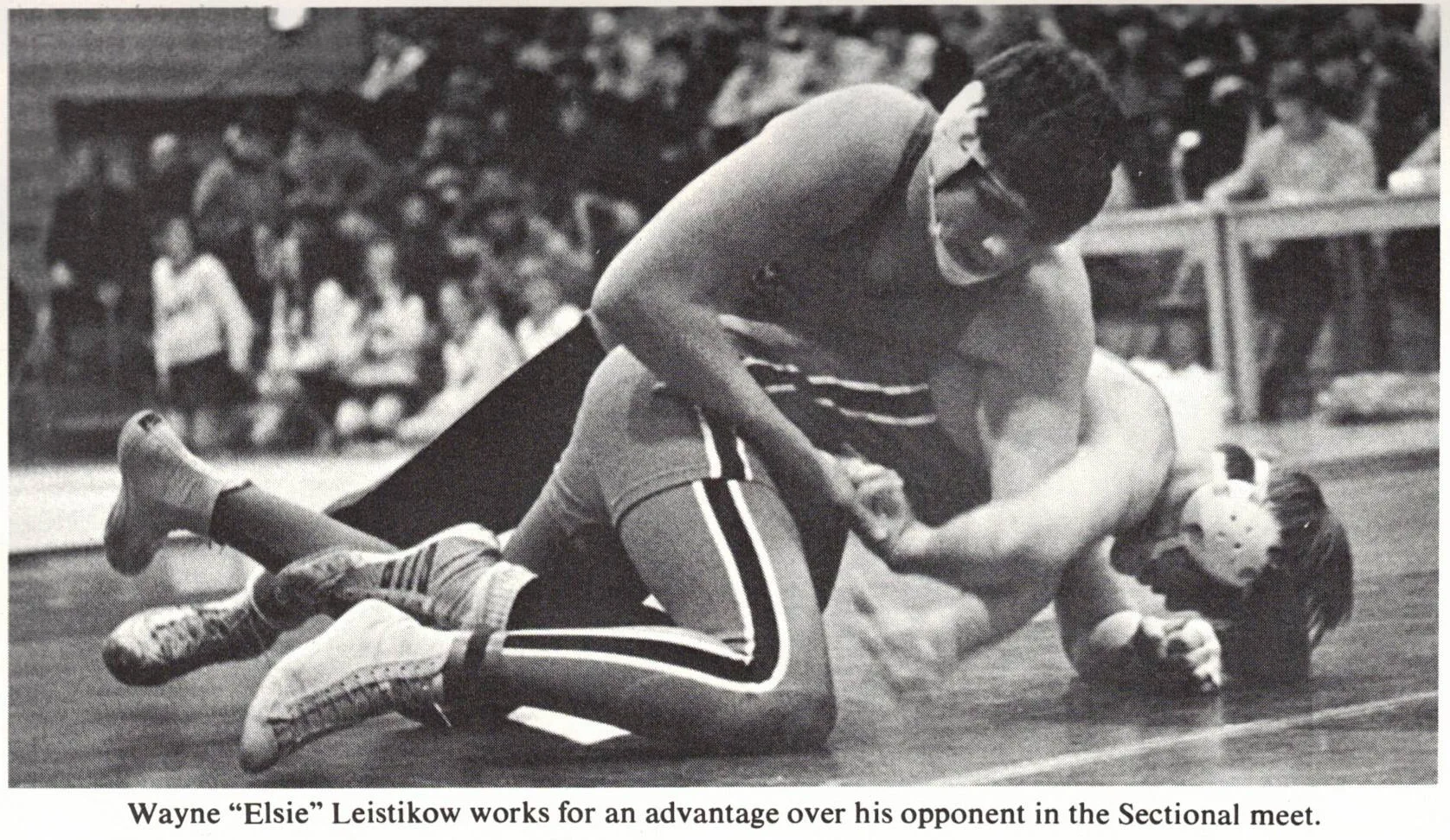 Wayne Leistikow